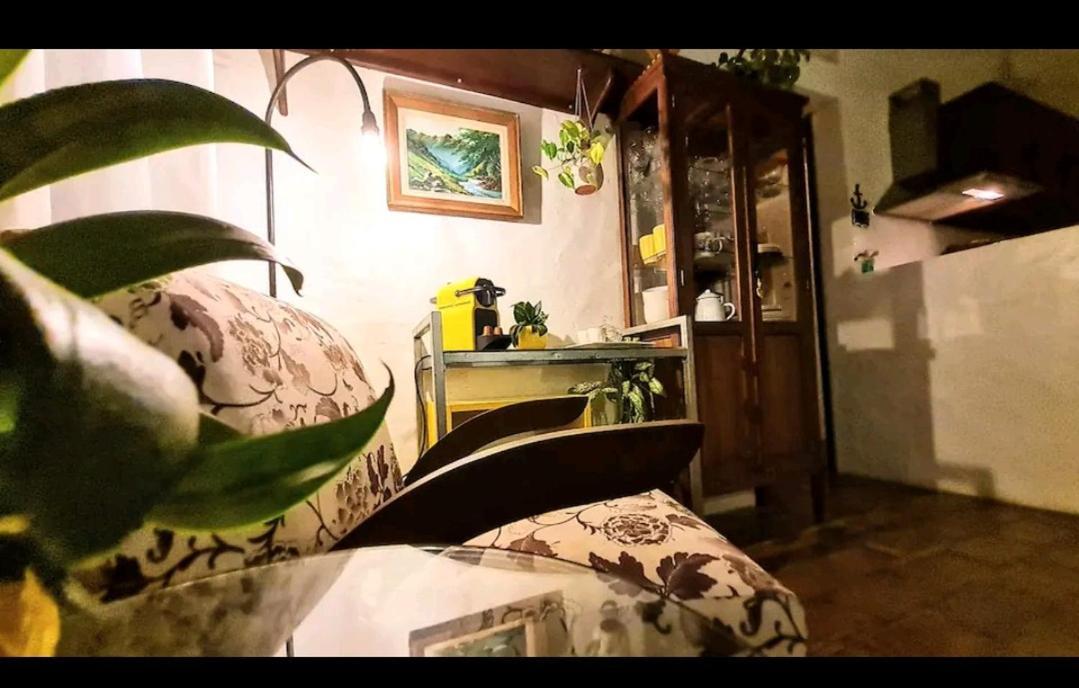 Quinta Do Mocambique Villa Florianopolis Bagian luar foto